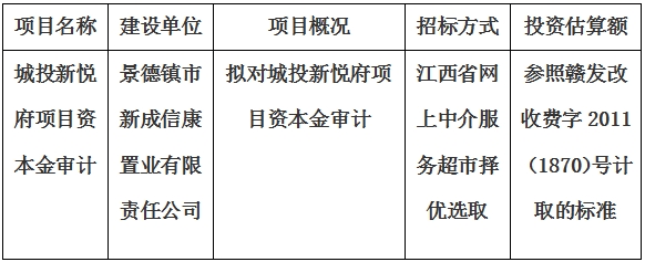 城投新悅府項(xiàng)目資本金審計(jì)項(xiàng)目計(jì)劃公告