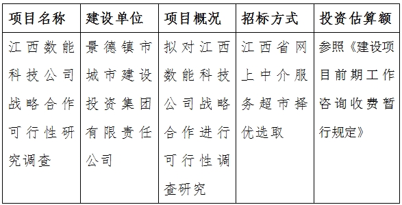 江西數(shù)能科技公司戰(zhàn)略合作可行性研究調(diào)查計(jì)劃公告