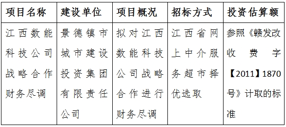 江西數(shù)能科技公司戰(zhàn)略合作財務盡調計劃公告