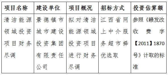 清潔能源領(lǐng)域投資項目財務(wù)盡調(diào)計劃公告