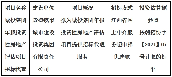 城投集團年報投資性房地產(chǎn)評估項目招標(biāo)代理計劃公告