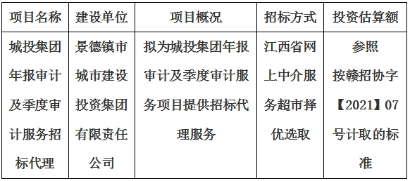 城投集團(tuán)年報審計及季度審計服務(wù)招標(biāo)代理計劃公告