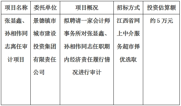 張顯鑫、孫相偉同志離任審計項目計劃公告