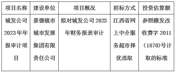 城發(fā)公司2023年年報審計項目計劃公告