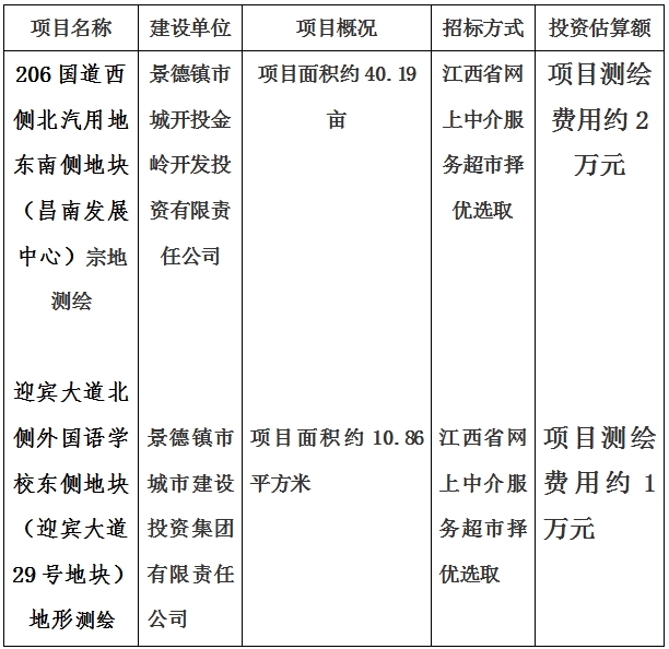 景德鎮(zhèn)市206國道西側(cè)北汽用地東南側(cè)地塊（昌南發(fā)展中心）宗地測繪項目及迎賓大道北側(cè)外國語學校東側(cè)地塊（迎賓大道29號地塊）地形測繪項目計劃公告